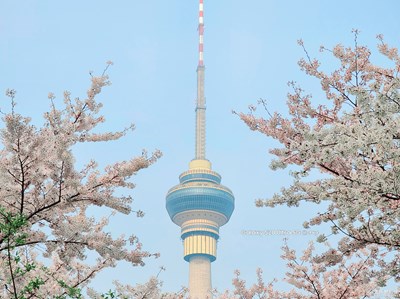 Galaxy S20 Ultra 5G  春日