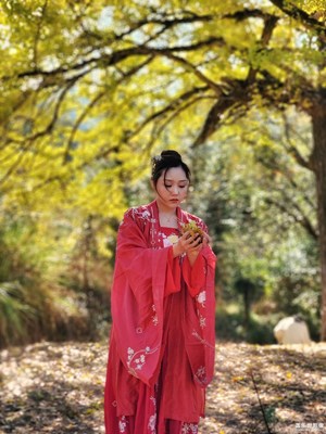 古銀杏樹(shù)下