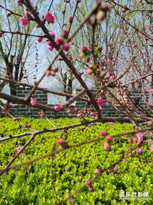 春暖花必開