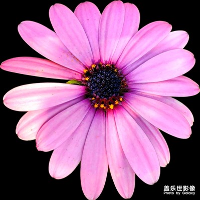 我覺(jué)得不錯(cuò)哦，三星自帶裁剪還是不錯(cuò)的。。。。
