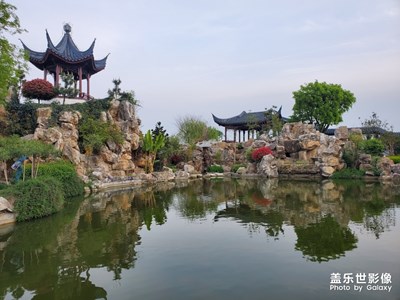 我也來(lái)隨便拍一下身邊的美景