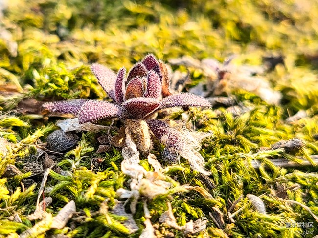 【S20曬機(jī)評(píng)測(cè)】致觀(guān)望購(gòu)機(jī)中星粉參考的使用體驗(yàn)