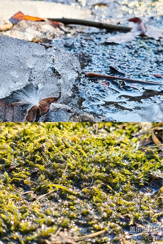 【S20曬機(jī)評(píng)測(cè)】致觀(guān)望購(gòu)機(jī)中星粉參考的使用體驗(yàn)