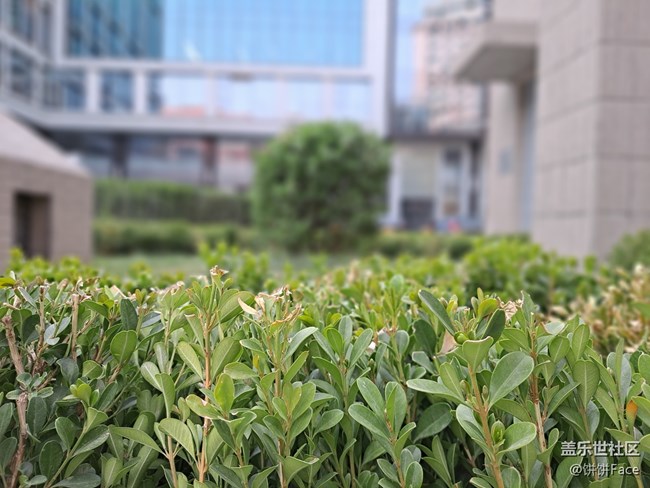 堆料小狂魔 三星Galaxy A71 5G全面評測