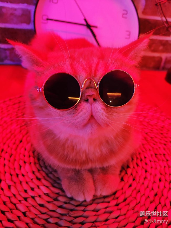 已開獎(jiǎng)【寵物活動(dòng)第二十二期】戲精or影帝?