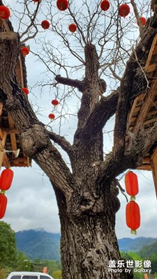 作坊小鎮(zhèn)