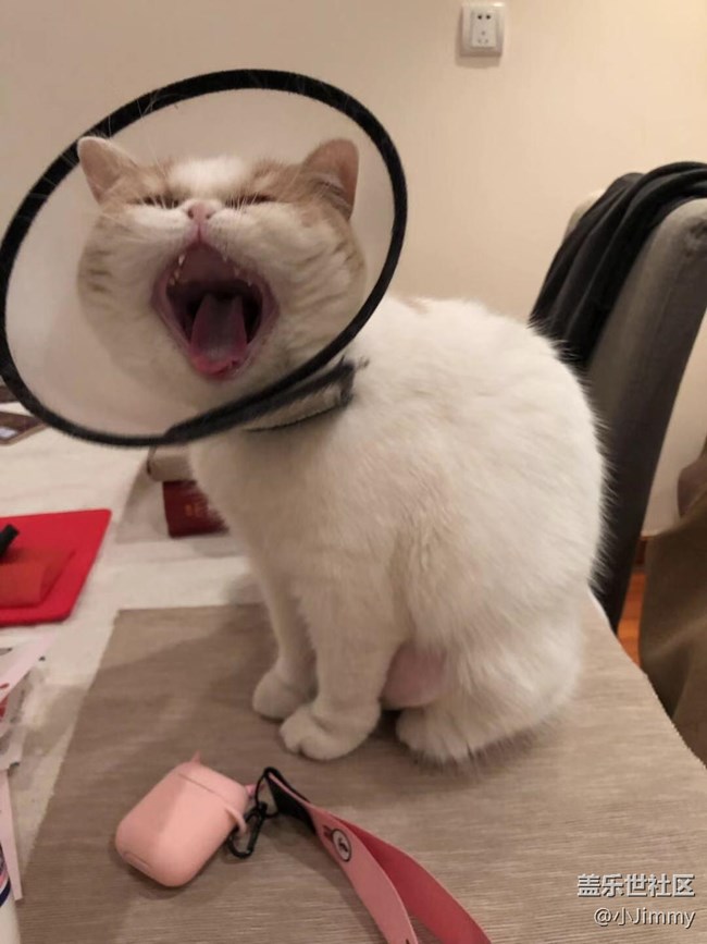 已開獎(jiǎng)【寵物活動(dòng)第二十二期】戲精or影帝?