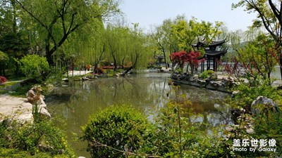 揚(yáng)州荷花池