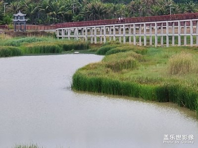 壩上遠(yuǎn)觀