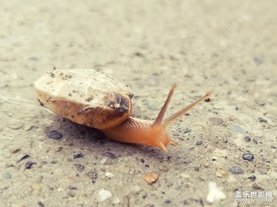 開(kāi)工后隨拍