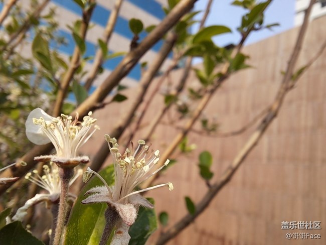 堆料小狂魔 三星Galaxy A71 5G全面評測