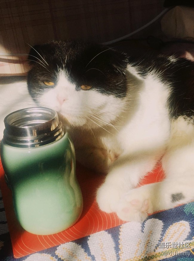 已開獎(jiǎng)【寵物活動(dòng)第二十二期】戲精or影帝?