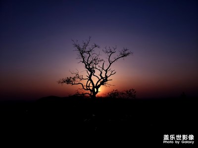 黃昏