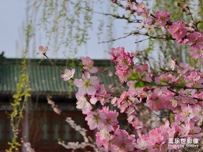 Galaxy S20 Ultra之春暖花開(kāi)的時(shí)節(jié)
