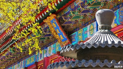 Galaxy S20 Ultra 5G 春曉