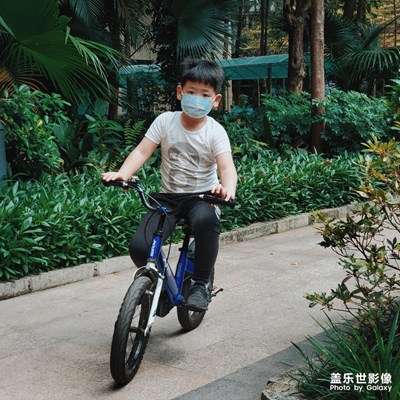 花兒與少年