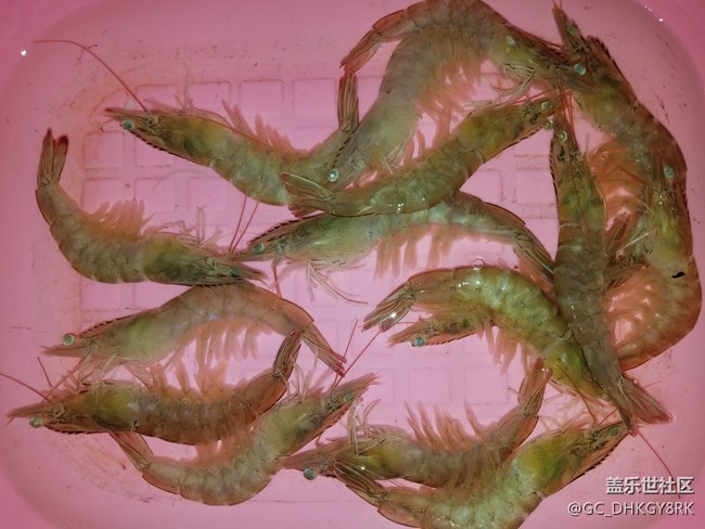 【私房菜】+白灼蝦