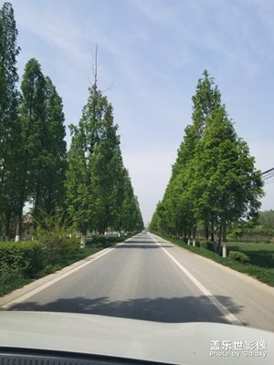 江山多嬌