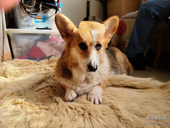 創(chuàng)新永無止境——S20系列新功能盤點