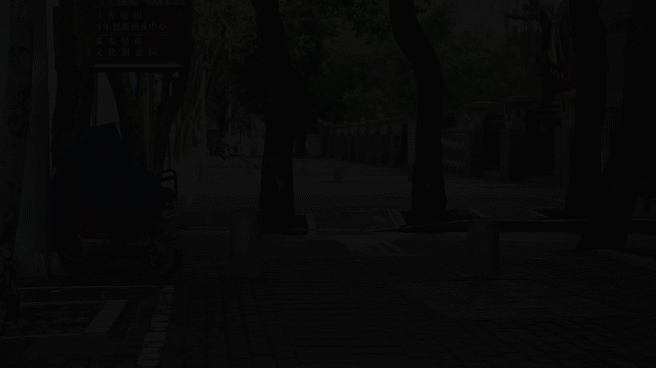 Wild Child - Crazy Bird_17.gif