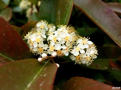 【希望】+活在塵世中