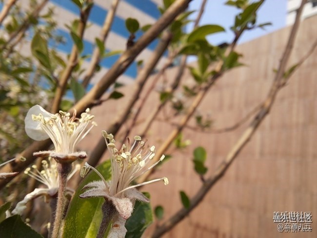 已開獎(jiǎng)【A版塊4月第4周話題活動(dòng)】微距下的世界