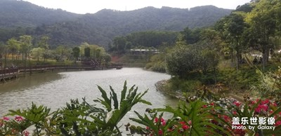 游玩杜鵑谷，