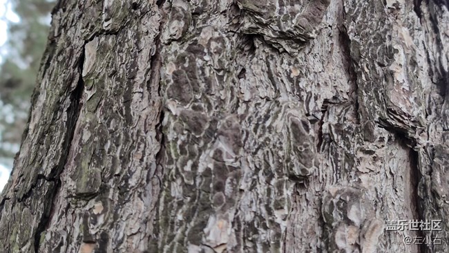 三星Galaxy S20 Ultra 5G 使用體驗(yàn)