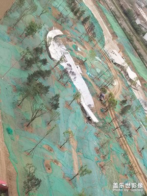 春日麗影