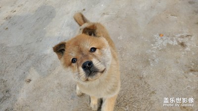 隨時(shí)拍