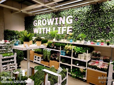 逛宜家用S20 U隨便拍的照片，你們覺(jué)得如何？