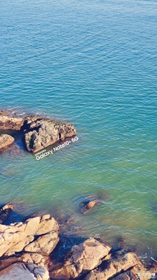 【春日麗影】+疏影橫斜水清淺