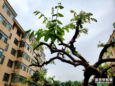 小區(qū)美景