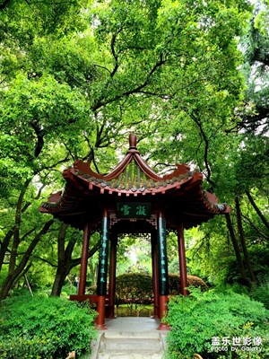 小景的情懷