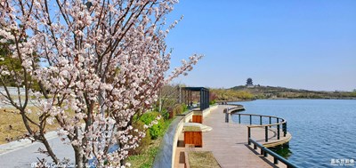 已開獎(jiǎng)【蓋樂世影像周賽第138期】——春日麗影