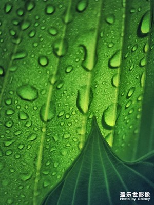 雨后
