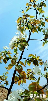 暮春時光