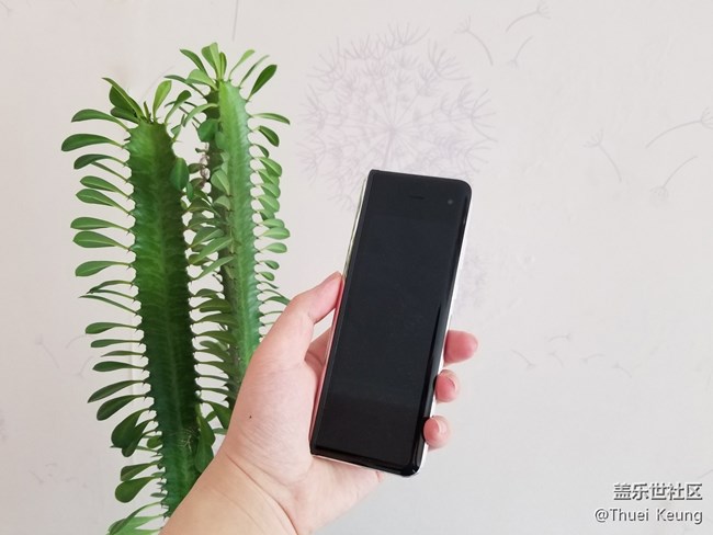 開合之間，難言鋒芒  W20圖賞