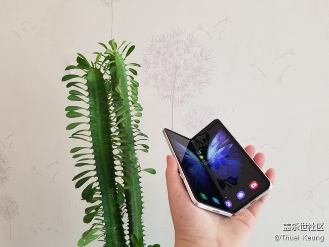 開合之間，難言鋒芒  W20圖賞