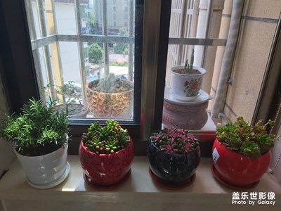 四月你好，我家小鮮肉終于爆盆啦!