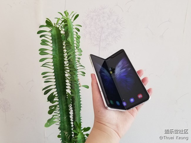 開合之間，難言鋒芒  W20圖賞