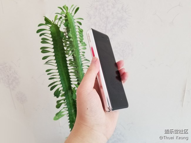 開合之間，難言鋒芒  W20圖賞