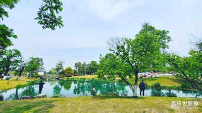 周末S10首拍。成都近郊生態(tài)公園