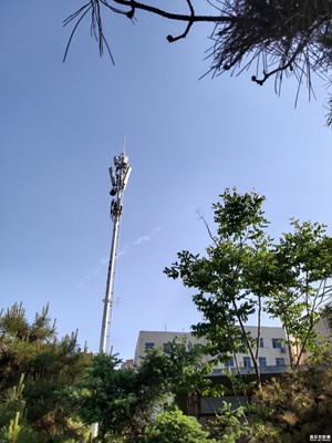 【春日麗影】+ 春光燦爛