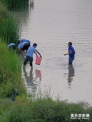 抓魚的人們