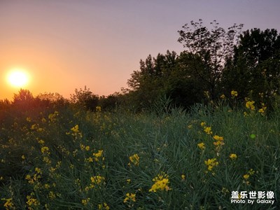 飯后散步隨拍