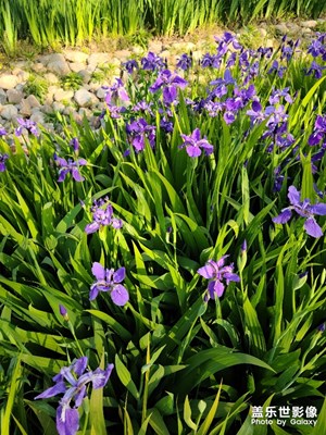 春暖花開