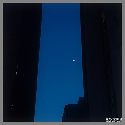 夜