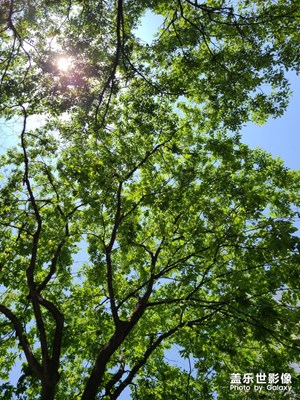 夏天來(lái)了