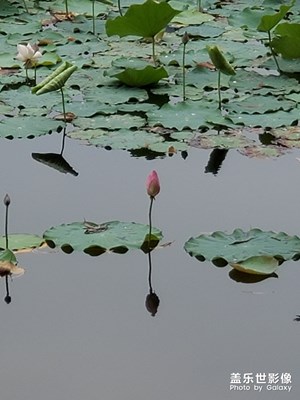 靜靜園區(qū)